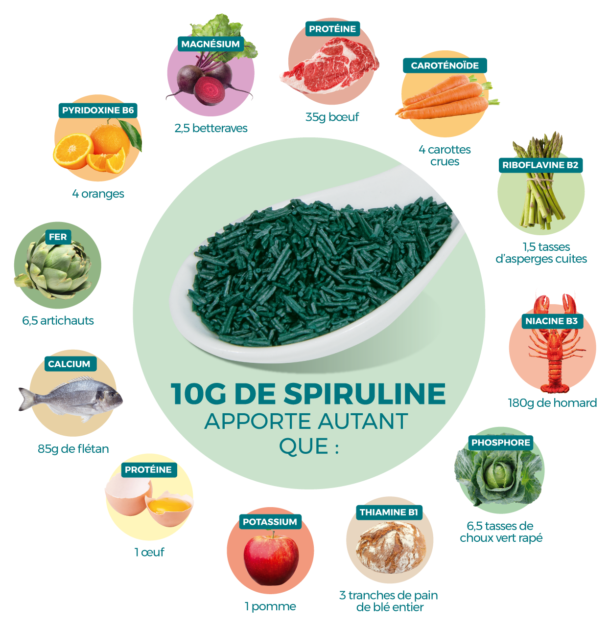 Apports de la spiruline